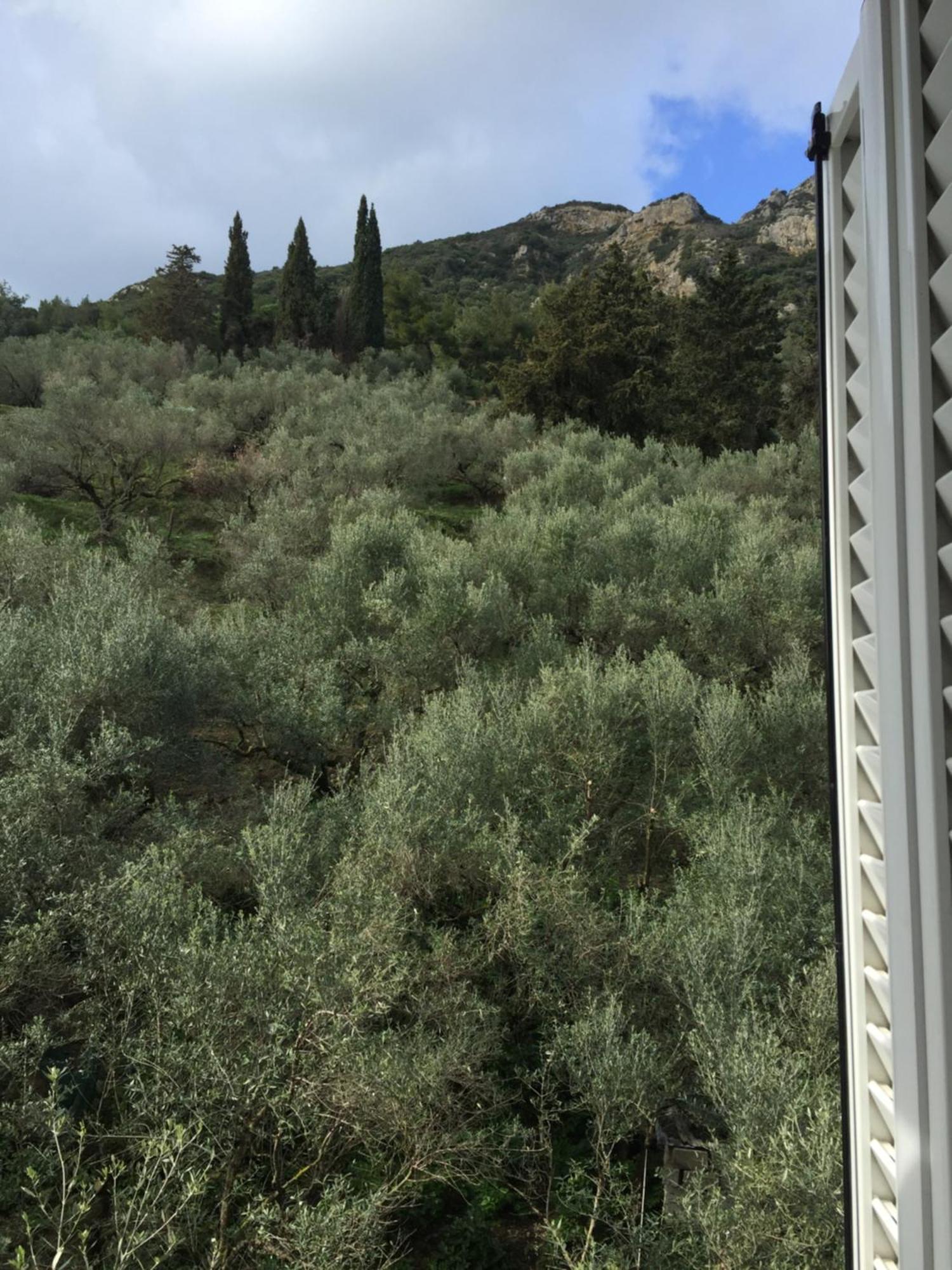 Belvedere Zakynthos Studios Vasilikos  Ruang foto