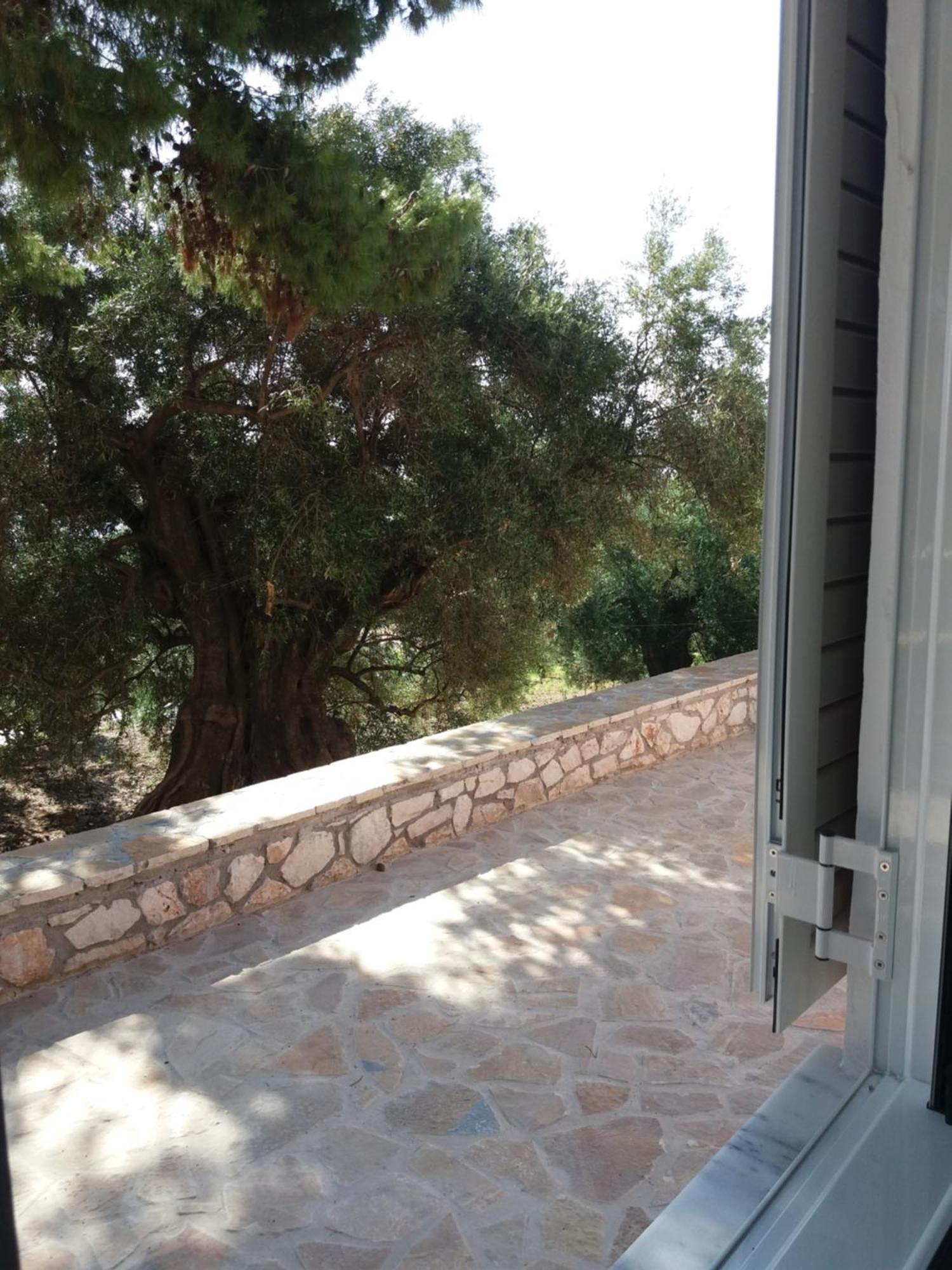 Belvedere Zakynthos Studios Vasilikos  Ruang foto