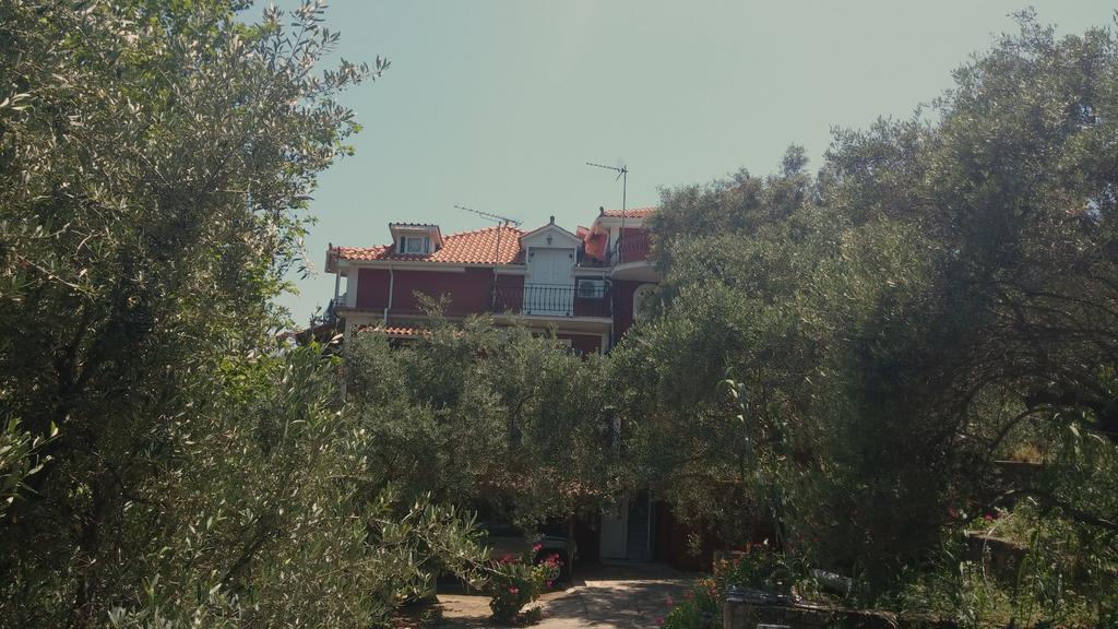 Belvedere Zakynthos Studios Vasilikos  Bagian luar foto